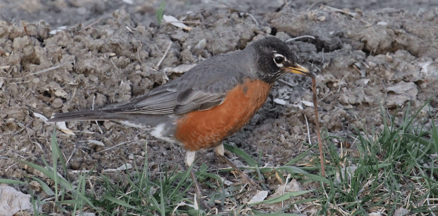 IMG_5792.gif